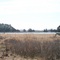 Inlet