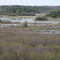 Okefenoke Swamp