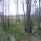 view from Coffee Bay Shelter across flooded prairie