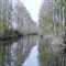 Suwanee Canal