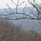 Along the AT near Reed's Gap