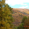 autumn colors