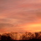My View of the Sunset