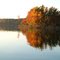 coopers island in the fall