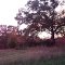 An old house on Rocky Ford Road / SR-644