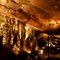 Sequoyah Caverns