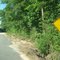 Where The Blacktop Ends