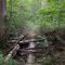 Old bridge on the trail in Zahnd natural area
