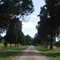 Evelynton Plantation