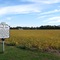 Westover Church Historical Marker - Charles City County, Virginia