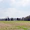 VIRGINIA: CHARLES CITY COUNTY: North Bend Plantation (1801): view from across the field