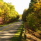My addition to the Autumn parkway images 01