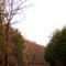 Roanoke