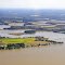 Cat Point Creek, on the Rappahannock River, Virginia