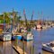 Darien, Georgia:  Shrimp Boat Fleet
