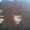 old Rajasthan desurt house made from sand