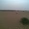 difficult to survive in thar desert