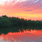 Sunset over the mangrooves