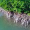Near Key Largo