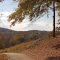 Bradford Farms Overlook