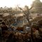 Nagaur Cattle Fare