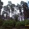 dhanlolti eco park, uttrakhand....
