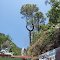 PRAGTESHWAR MAHADEV, MAHAR GAON, UTTARAKHAND