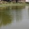 Arsawan Lake