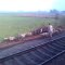 Flock of Sheep near the railway track