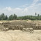 Bricks factory