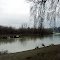 Jhelum River-Srinagar India