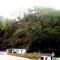 puliya near gurna pithoragarh