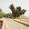 Chowki Mann