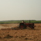 Singh Farming