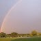 June Shower