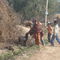 malewala, sirsa, haryana, india