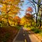Mount Vernon Trail, Arlington Virginia, Fall 2011