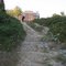 Trail up from Four Mile Run