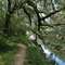 Withlacoochee River at Pot Spring