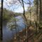 Suwannee River near Anderson Springs