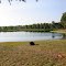 Yogi Bear Camp Ground Madison, FL