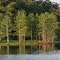 Campground Lake