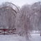 Icestorm