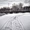 Railroad Bridge Shellsburg Iowa