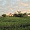 Quiet Farm