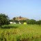 DSC08594  07.55.24