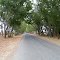 SH-35 towards Tamilnadu