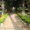 Shadow of Trees and Pathway  in the Park,Whitefield, Bangalore, India