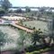 college garden-GND