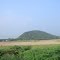 Musthaabaada  8516.